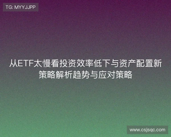 从ETF太慢看投资效率低下与资产配置新策略解析趋势与应对策略 从ETF太慢看投资效率低下与资产配置新策略解析趋势与应对策略
